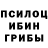 Галлюциногенные грибы прущие грибы Vasil Makar